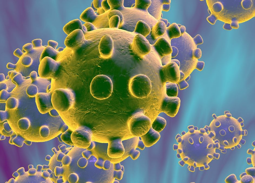 Illustration du coronavirus où l'on peut voir le virus en très zoomé.